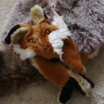 アカギツネバッジ